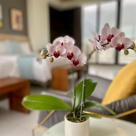 Follow The Cloud B&B Jialin Bilik gambar