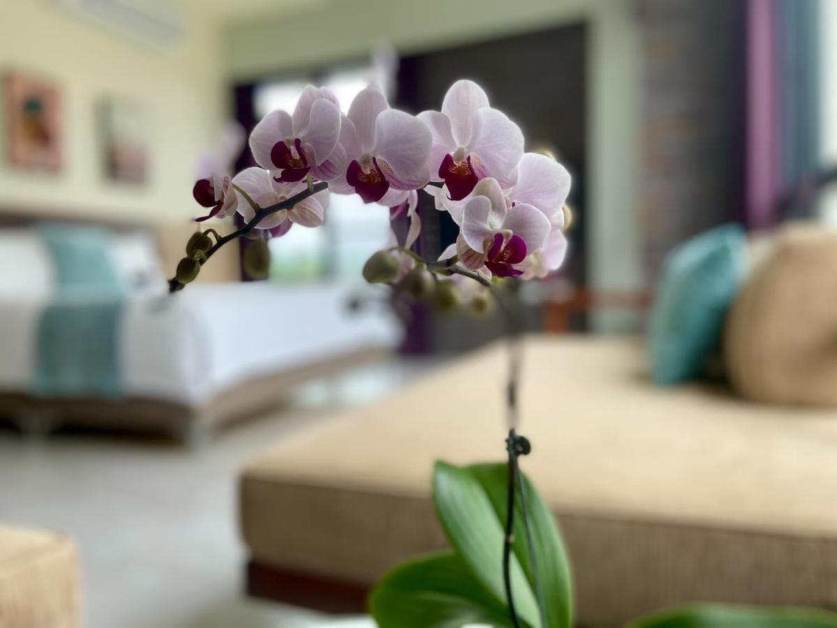 Follow The Cloud B&B Jialin Luaran gambar