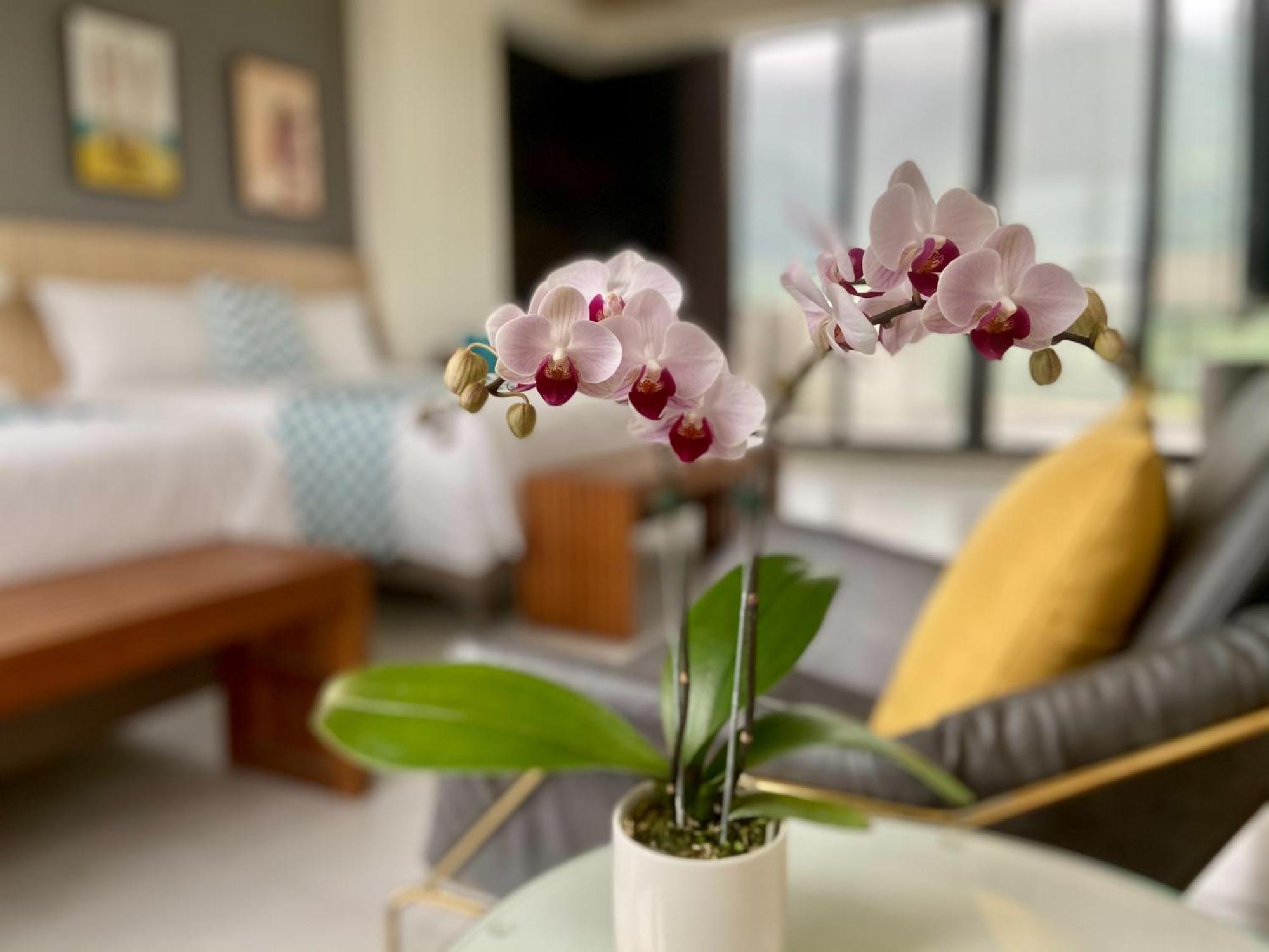 Follow The Cloud B&B Jialin Bilik gambar